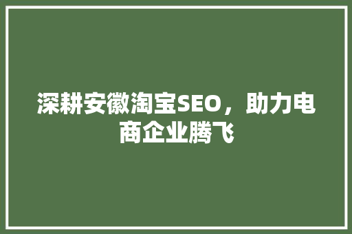 深耕安徽淘宝SEO，助力电商企业腾飞