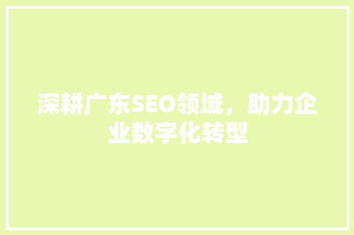 深耕广东SEO领域，助力企业数字化转型