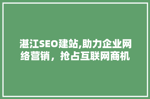 湛江SEO建站,助力企业网络营销，抢占互联网商机