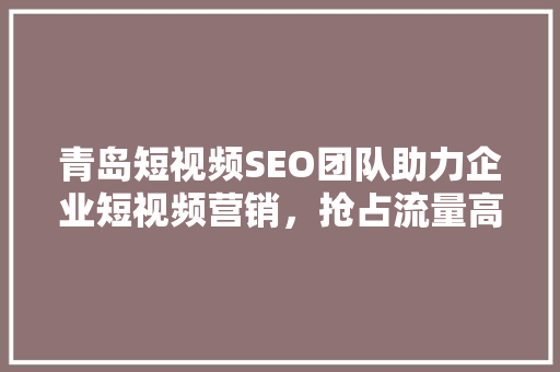 青岛短视频SEO团队助力企业短视频营销，抢占流量高地