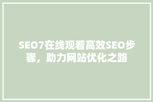 SEO7在线观看高效SEO步骤，助力网站优化之路