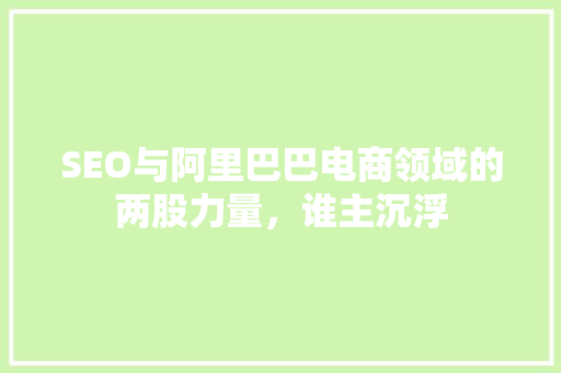 SEO与阿里巴巴电商领域的两股力量，谁主沉浮