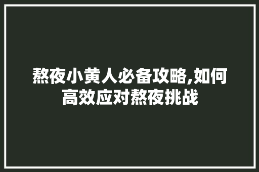 熬夜小黄人必备攻略,如何高效应对熬夜挑战