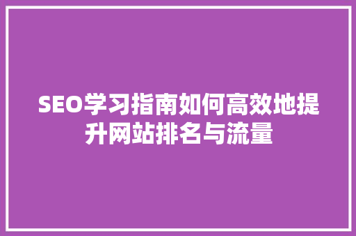SEO学习指南如何高效地提升网站排名与流量 建站教程