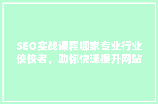 SEO实战课程哪家专业行业佼佼者，助你快速提升网站排名