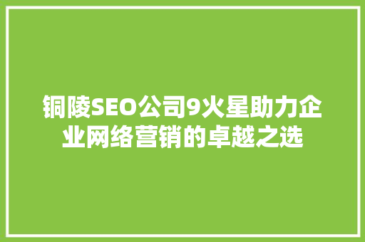 铜陵SEO公司9火星助力企业网络营销的卓越之选