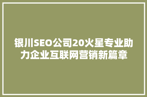 银川SEO公司20火星专业助力企业互联网营销新篇章