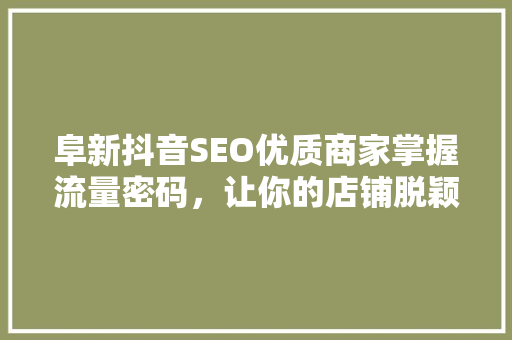 阜新抖音SEO优质商家掌握流量密码，让你的店铺脱颖而出