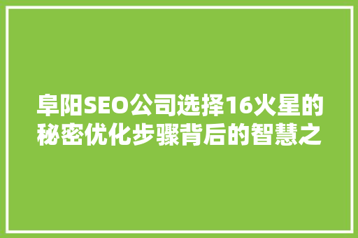 阜阳SEO公司选择16火星的秘密优化步骤背后的智慧之光