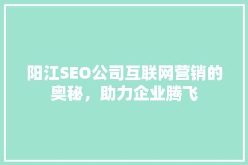 阳江SEO公司互联网营销的奥秘，助力企业腾飞