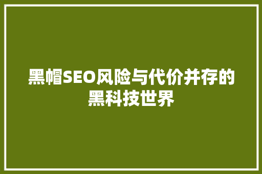 黑帽SEO风险与代价并存的黑科技世界 WordPress教程