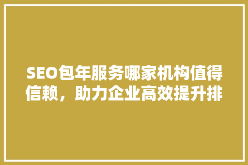 SEO包年服务哪家机构值得信赖，助力企业高效提升排名