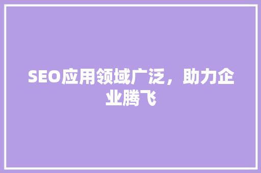 SEO应用领域广泛，助力企业腾飞 服务器/数据库