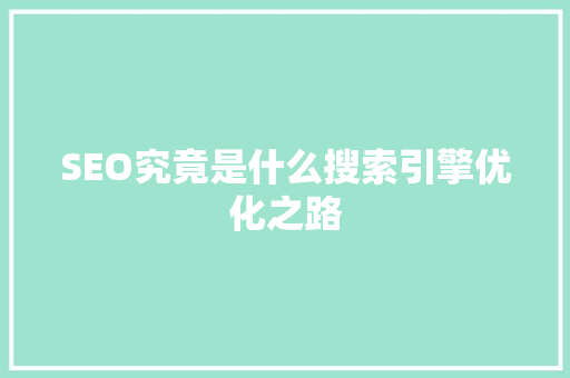 SEO究竟是什么搜索引擎优化之路