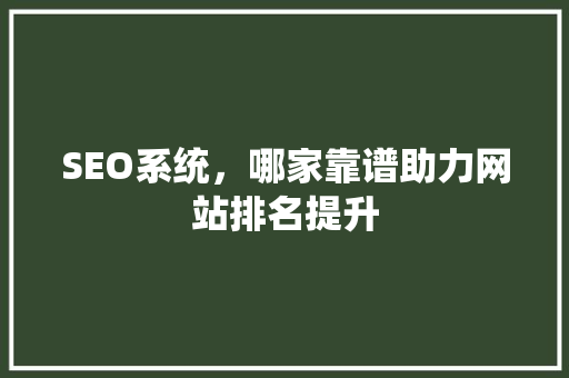 SEO系统，哪家靠谱助力网站排名提升