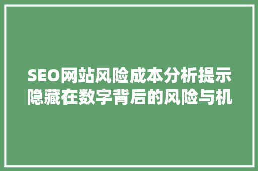 SEO网站风险成本分析提示隐藏在数字背后的风险与机遇