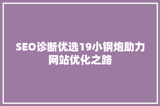 SEO诊断优选19小钢炮助力网站优化之路 WordPress教程