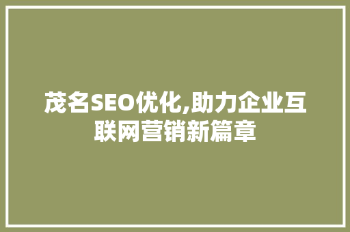 茂名SEO优化,助力企业互联网营销新篇章