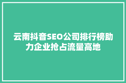 云南抖音SEO公司排行榜助力企业抢占流量高地
