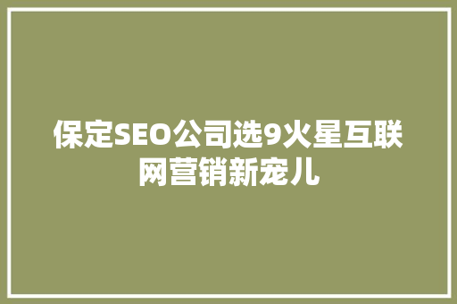 保定SEO公司选9火星互联网营销新宠儿