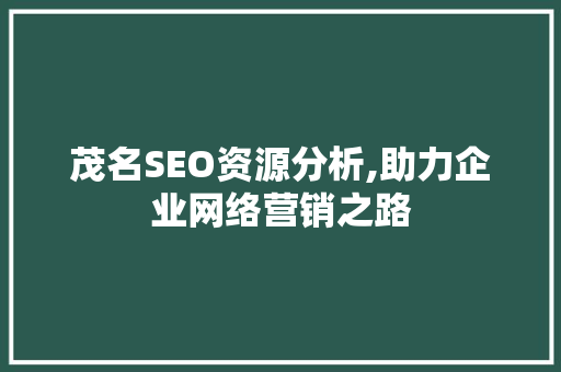 茂名SEO资源分析,助力企业网络营销之路