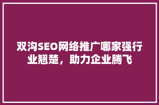 双沟SEO网络推广哪家强行业翘楚，助力企业腾飞 WordPress教程