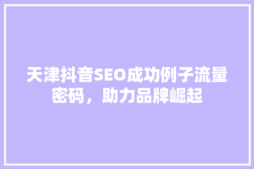 天津抖音SEO成功例子流量密码，助力品牌崛起 服务器/数据库