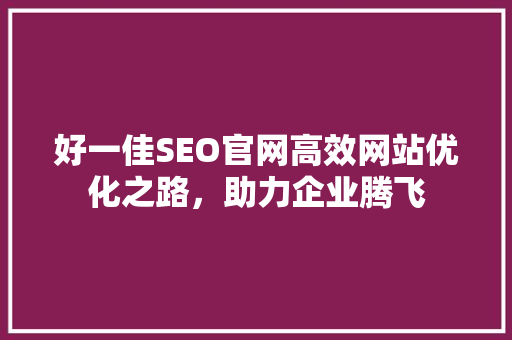 好一佳SEO官网高效网站优化之路，助力企业腾飞 WordPress教程