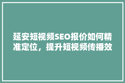 延安短视频SEO报价如何精准定位，提升短视频传播效果