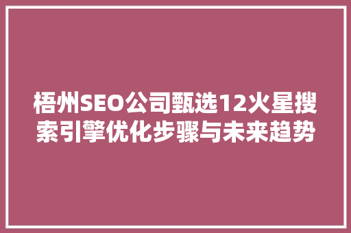 梧州SEO公司甄选12火星搜索引擎优化步骤与未来趋势