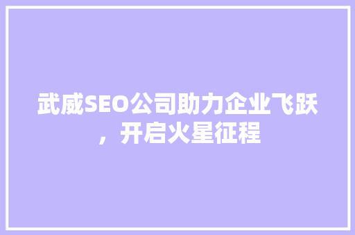 武威SEO公司助力企业飞跃，开启火星征程