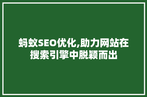 蚂蚁SEO优化,助力网站在搜索引擎中脱颖而出