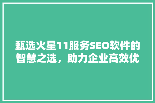 甄选火星11服务SEO软件的智慧之选，助力企业高效优化 WordPress教程
