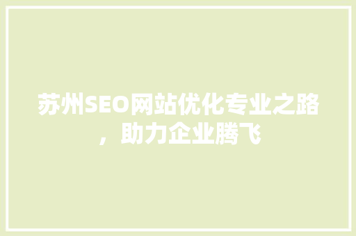 苏州SEO网站优化专业之路，助力企业腾飞