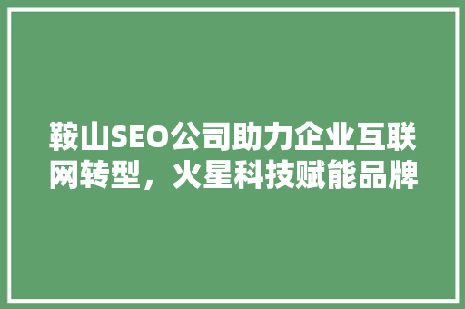 鞍山SEO公司助力企业互联网转型，火星科技赋能品牌崛起
