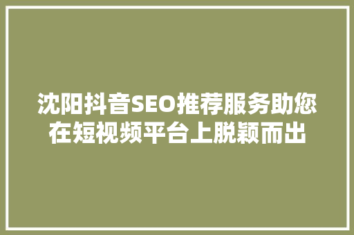 沈阳抖音SEO推荐服务助您在短视频平台上脱颖而出 服务器/数据库