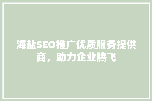 海盐SEO推广优质服务提供商，助力企业腾飞