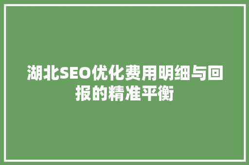 湖北SEO优化费用明细与回报的精准平衡 建站教程
