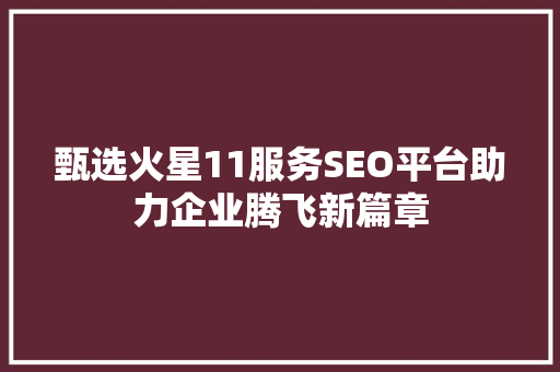 甄选火星11服务SEO平台助力企业腾飞新篇章