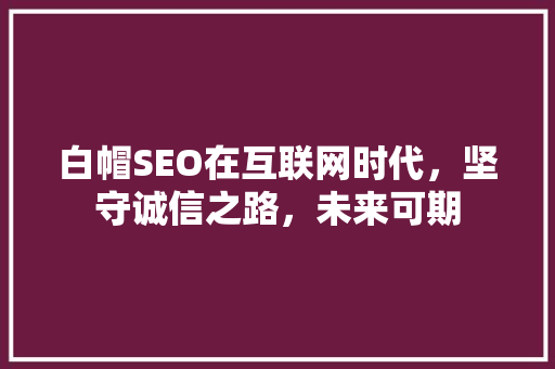 白帽SEO在互联网时代，坚守诚信之路，未来可期 WordPress教程