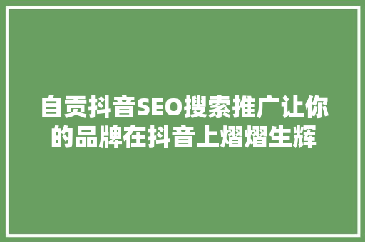 自贡抖音SEO搜索推广让你的品牌在抖音上熠熠生辉 建站教程