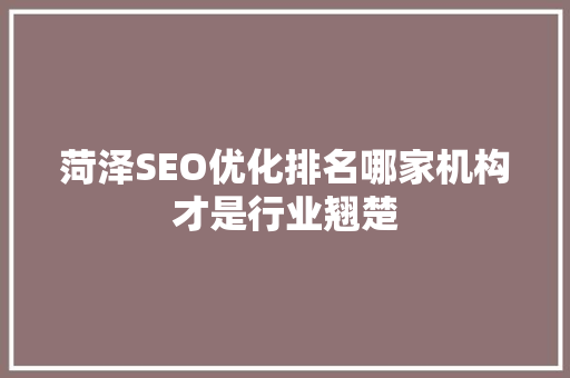 菏泽SEO优化排名哪家机构才是行业翘楚 Web前端