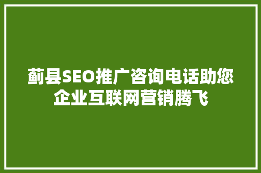 蓟县SEO推广咨询电话助您企业互联网营销腾飞 友链在线