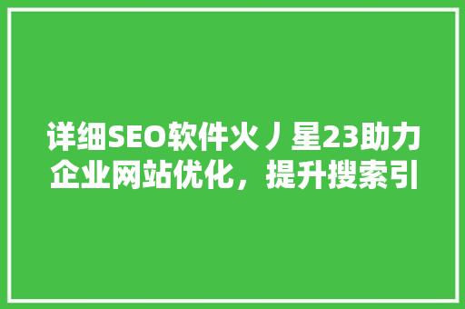 详细SEO软件火丿星23助力企业网站优化，提升搜索引擎排名 SEO教程
