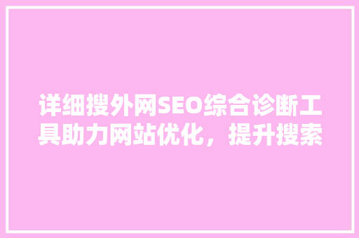 详细搜外网SEO综合诊断工具助力网站优化，提升搜索引擎排名