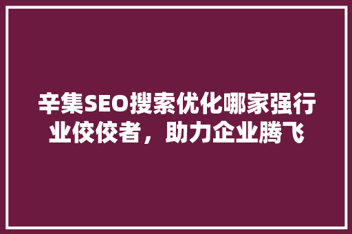 辛集SEO搜索优化哪家强行业佼佼者，助力企业腾飞