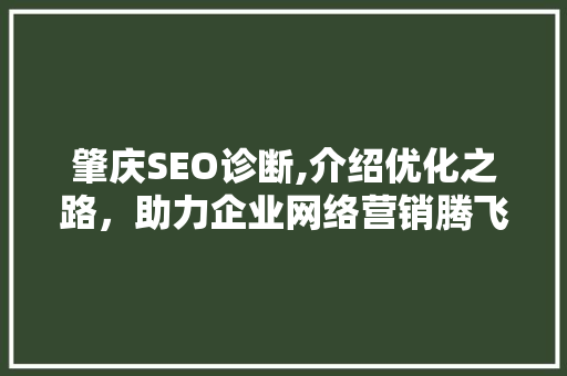 肇庆SEO诊断,介绍优化之路，助力企业网络营销腾飞