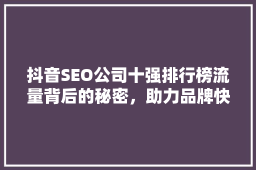 抖音SEO公司十强排行榜流量背后的秘密，助力品牌快速崛起 服务器/数据库