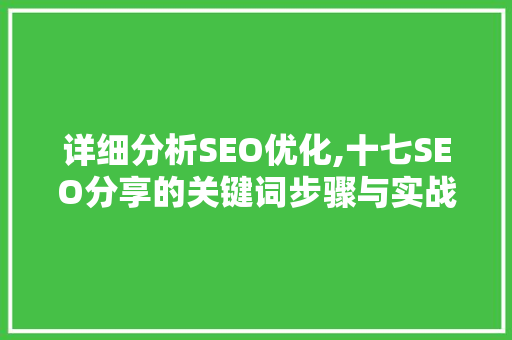 详细分析SEO优化,十七SEO分享的关键词步骤与实战方法