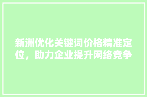 新洲优化关键词价格精准定位，助力企业提升网络竞争力